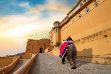 Golden Triangle with Yoga Escape