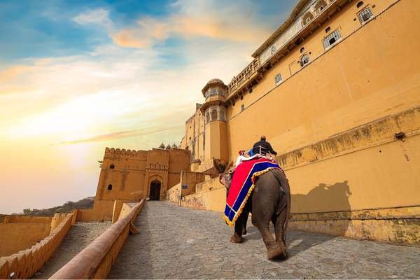 Golden Triangle with Yoga Escape