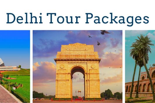 Delhi Tours